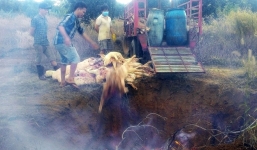 Bắt quả tang lò mổ sử dụng heo chết, heo bệnh ở Đồng Nai