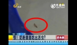 Xôn xao côn trùng bò lổm ngổm trong sữa hộp Trung Quốc