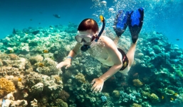 Du xuân theo tour Cù Lao Chàm - Hội An