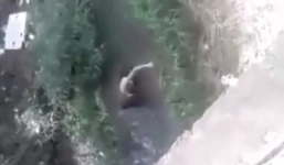 Video: Vợ kéo lê bồ nhí của chồng rồi ném xuống hồ