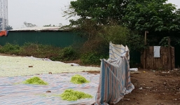 Xuân Đỉnh: Hãi hùng mứt tết phơi ngay cạnh nhà vệ sinh