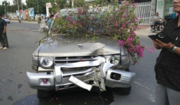 Tài xế ngủ gật, lao xe sang làn đối diện nắp capo phủ đầy hoa