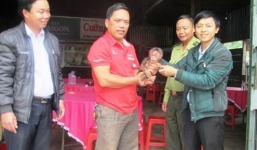 Giải cứu cá thể Khỉ mặt đỏ quý hiểm ở Quảng Bình