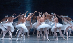 Chết cười với điệu múa của 'bầy thiên nga đi lạc' đầy hài hước