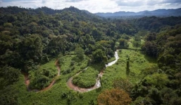 Video: Thành phố mất tích được tìm thấy trong rừng rậm Honduras