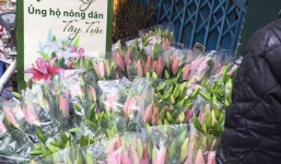 Dân mạng mở 'chiến dịch' giúp đỡ nông dân trồng hoa ly