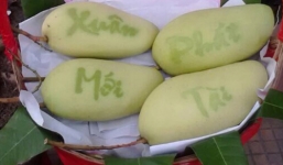 300.000 đồng một quả xoài chữ chưng Tết