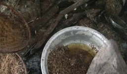 Gia Lai: Phát hiện và tiêu hủy nửa tấn hành phi bẩn 