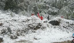 Miền Bắc chìm trong giá rét