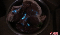 Trung Quốc: Thịt lợn phát sáng liên tiếp được phát hiện