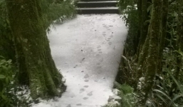 Miền Bắc mưa rét, Hà Nội xuất hiện băng tuyết