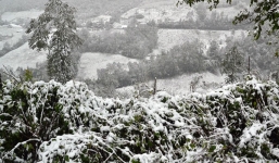 Dự báo thời tiết ngày 25/1: Miền Bắc mưa rét, nhiệt độ xuống thấp