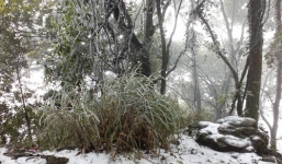 Đỉnh núi Ba Vì ở Hà Nội có tuyết rơi