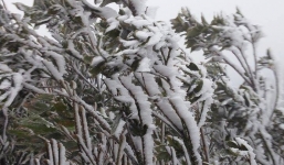 Thủ tướng chỉ đạo phòng chống rét đậm, rét hại