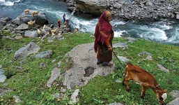 Cả ngôi làng liên hệ với bên ngoài chỉ với 1 chiếc điện thoại