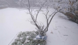 Lý giải cái rét khốc liệt nhất trong 60 năm qua