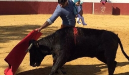 Bố bế con gái 5 tháng tuổi ra đấu bò tót