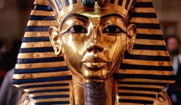 Ra tòa vì làm 'đứt râu' của Pha-ra-ong