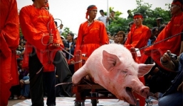 Sẽ không chém lợn giữa sân đình ở lễ hội làng Ném Thượng