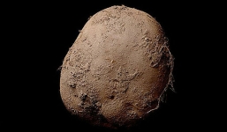 Choáng đại gia chi 22 tỷ mua bức ảnh chụp củ khoai tây