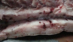 Mỡ bẩn, heo thối tràn lan chuẩn bị bán trong dịp Tết