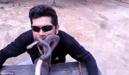 Video: Kinh hoàng người đàn ông nhét 4 con rắn sống vào miệng