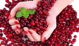 Năm thức ăn vặt vừa ngon vừa ngừa ung thư