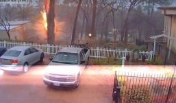 Video: Cây lớn trúng sét hóa tro tàn trong tích tắc