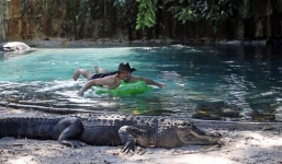 Video: Kinh hãi người đàn ông bơi qua đầm cá sấu 'khủng'