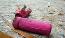 Bé trai bị bỏng hai tay, nguy cơ mù do đốt pháo