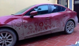 Ảnh vui giao thông Việt Nam tuần qua