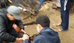 Bí thuật cho gà 'ăn bùa' và kết cục sau trận so găng bạc tỉ