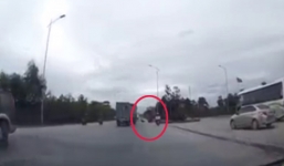 Bị bò lao vào xe, người đàn ông ngã lăn ra đường trước xe tải