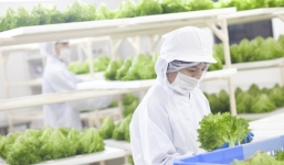 Nông trại hoàn toàn tự động đầu tiên trên thế giới