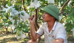 Lệ Rơi: hành trình từ hào quang đến vực thẳm