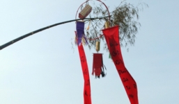 Ý nghĩa của cây nêu trong ngày Tết Nguyên đán