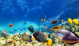 15 nơi bạn nên đến trước khi chúng biến mất hoàn toàn (P1)