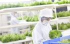 Nông trại hoàn toàn tự động đầu tiên trên thế giới