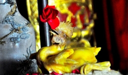 Cúng giao thừa: Cách chọn, luộc và bày gà cúng trên ban thờ đúng cách