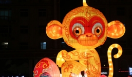 Thế giới rộn ràng chào đón năm con khỉ 