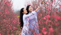 Dự báo thời tiết ngày mai 9/2: Đêm không mưa, ngày nắng