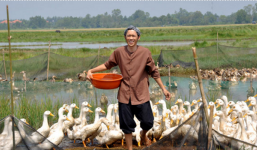 Hoài Linh - Đại gia kín tiếng, giản dị bậc nhất showbiz Việt