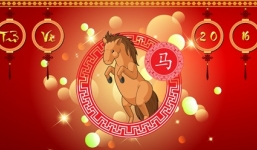 Tử vi vận hạn, tài lộc Bính Thân 2016 người tuổi Ngọ