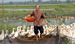 Hoài Linh - Đại gia kín tiếng, giản dị bậc nhất showbiz Việt