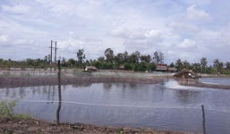 Nghi án sát hại người tình đồng tính 16 tuổi rồi tự vẫn