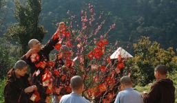 Phong tục ngày Tết: Hái lộc đầu năm và những lưu ý cần biết