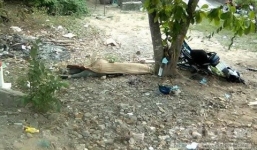 Tông vào gốc cây bàng, 2 người thương vong