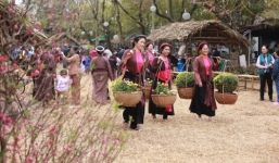 Hàng vạn người háo hức tham gia lễ hội hoa Xuân