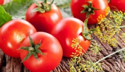 Những thực phẩm giải độc cơ thể hiệu quả sau Tết