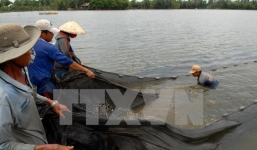 Quảng Nam: Một người thiệt mạng do dùng mìn tự chế để đánh cá